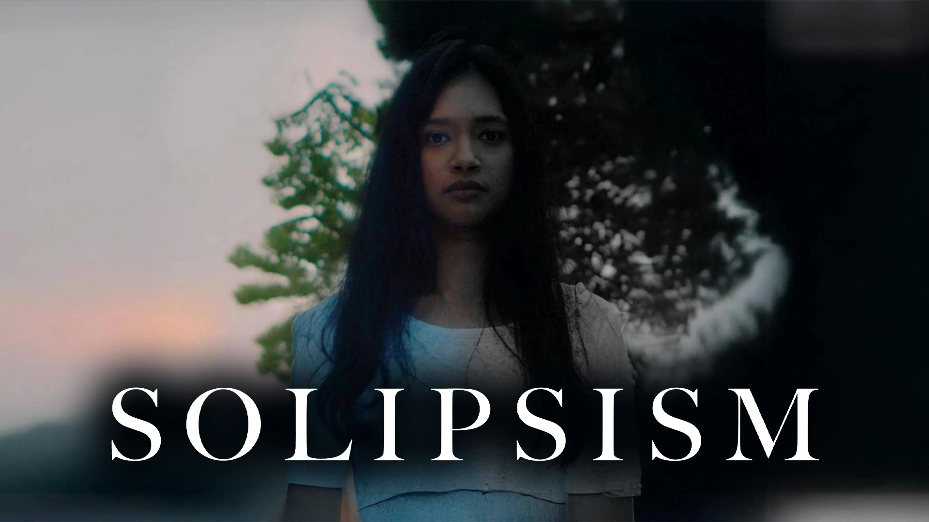 Solipsism poster